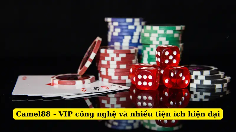 Camel88 - VIP công nghệ và nhiều tiện ích hiện đại